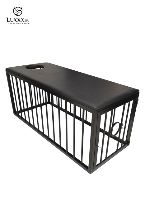 LUXXX - Adults only apartment in Częstochowa