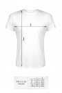 TSHRW001 - biały T-shirt kształt regularny - rozmiary: S,M,L,XL,XXL